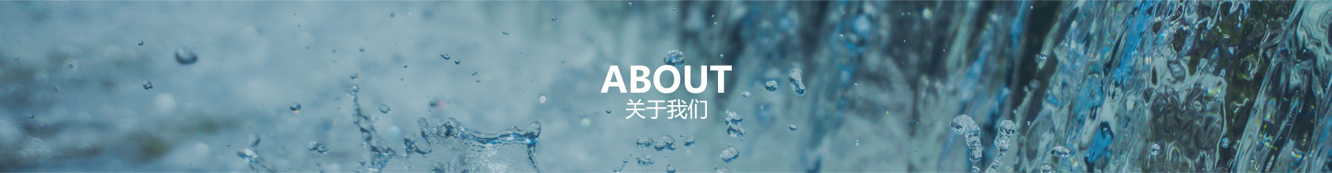 心博(中国)